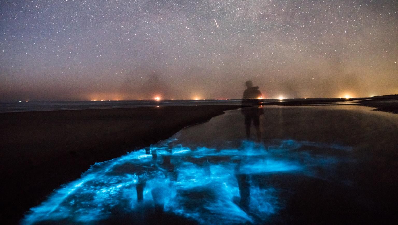 Sea spark - Foto Rafael Martig - VVV Ameland